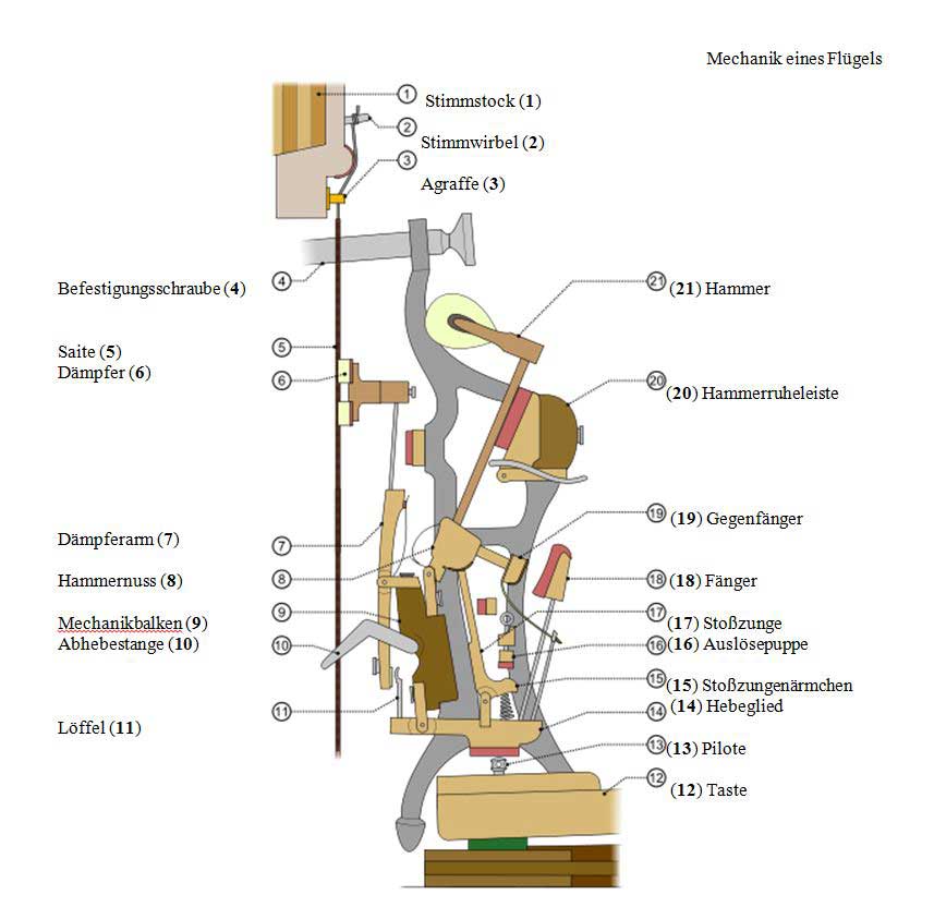 Abbildung der Mechanik eines Flügels